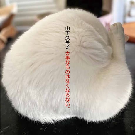 山下久美子(もっとやさしく)